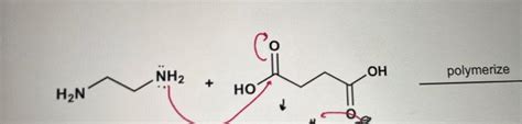 Solved polymerize | Chegg.com