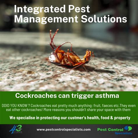 Health risks associated with cockroach infestation | Not everyone is aware of the health and ...