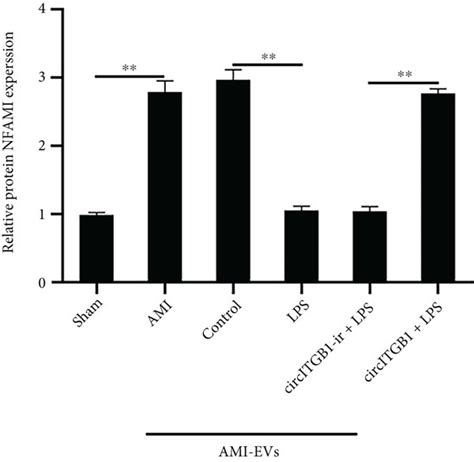 EV-circITGB1 regulates cardiac injury in vivo. (a) Relative expression... | Download Scientific ...