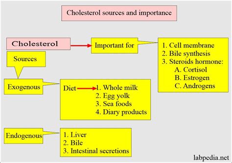 Cholesterol (Serum Cholesterol) - Labpedia.net