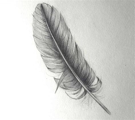 Feder zeichnen 5..1 Bird Pencil Drawing, Beautiful Pencil Drawings ...