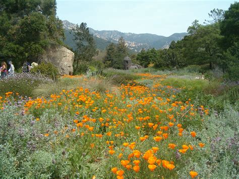 Student Chapter of ASLA: Santa Barbara Botanic Garden Tour