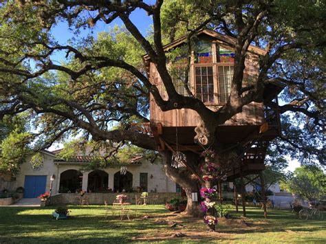 This Hill Country restaurant with treehouse dining gets rave reviews ...