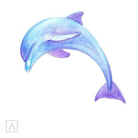 How To Draw A Dolphin Step By Step Realistic