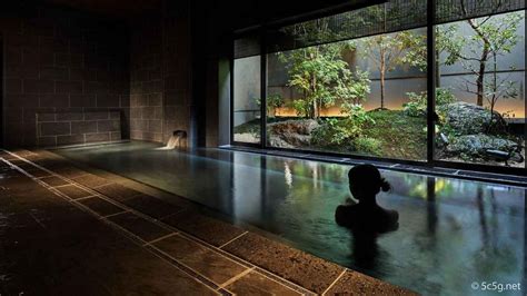 15 BEST Onsen Hotels & Ryokans in Tokyo for 2024 (with private onsen or ...