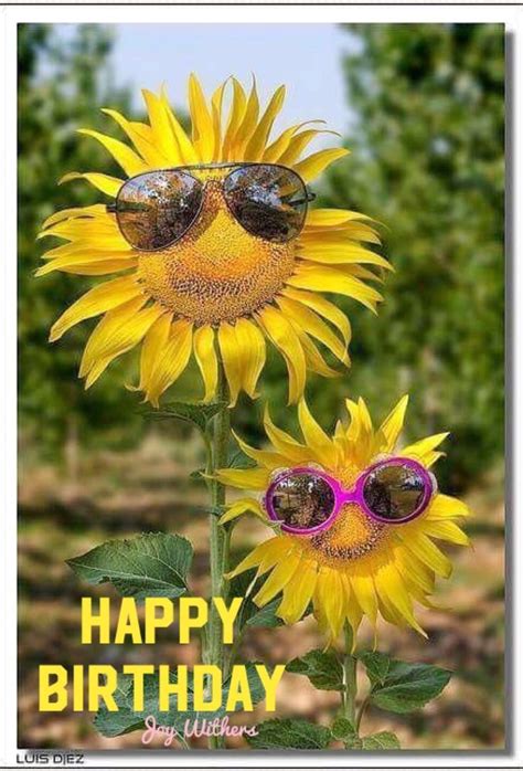 Pin by Joy Withers on HaPpY Birthday and sayings | Sunflower pictures, Good morning sunshine ...