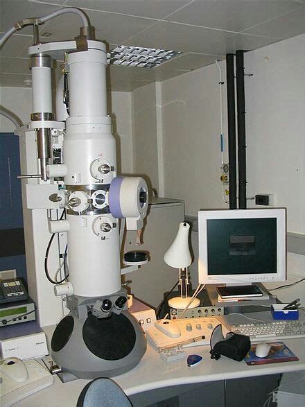 Scanning Electron Microscope SEM Can magnify up to 500.000 times VS Best light microscope ma ...