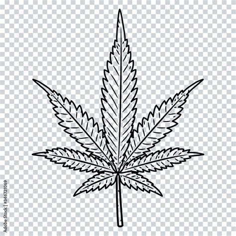 Weed Transparent Png