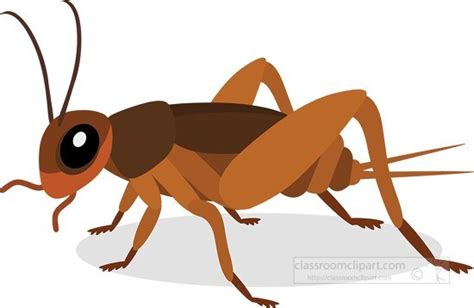 Insect Clipart-cricket Insects Animal Clipart