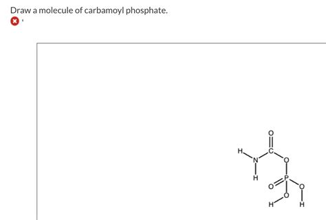 Solved Draw a molecule of carbamoyl phosphate. ⊗ ' | Chegg.com