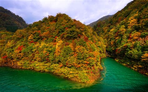 Download wallpapers Tazawako, 4k, Lake Tazawa, autumn, forest, Asia, Japan for desktop free ...