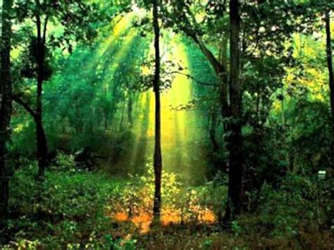 Relaxing Music - "Rainforest" - YouTube