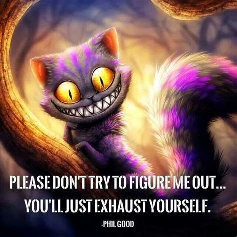 Chrdhirr | Figure me out, Cheshire cat quotes, Wonderland quotes