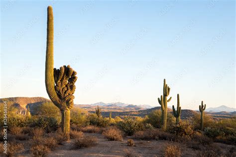 Arizona Desert Landscapes Stock Photo | Adobe Stock