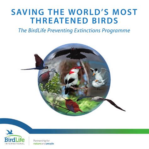 Preventing Extinction by BirdLife International - Issuu