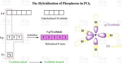 The sp3d Hybridization and Trigonal Bipyramidal Geometry | Molecular ...