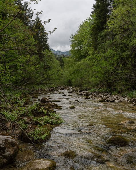 15 Of The Best Hikes In Bavaria | Slow Travel Bavaria