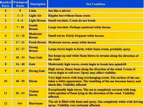 Windsurfing Beaufort Wind Scale Small