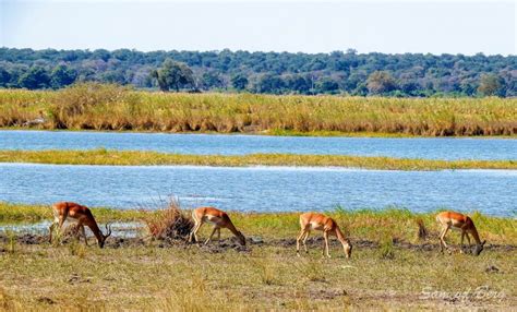 Top national parks in Namibia that you must visit for the best game viewing