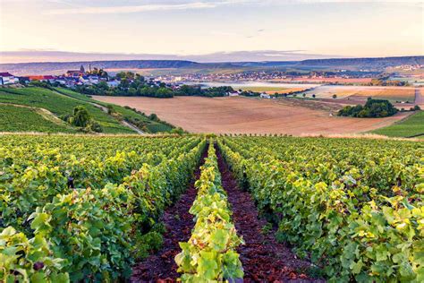 Visiting French Vineyards: These Are 10 of the Best Wine Regions in France