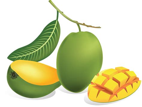 Download Green Mango HQ PNG Image | FreePNGImg