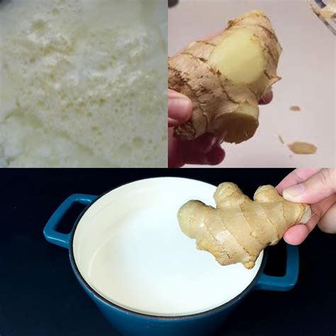 The Wonders of Ginger-Infused Milk: A Cozy, Healthful Delight ...