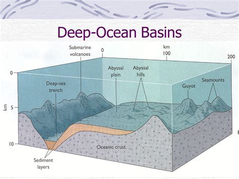 describe the structure and evolution of the ocean basin - Brainly.ph