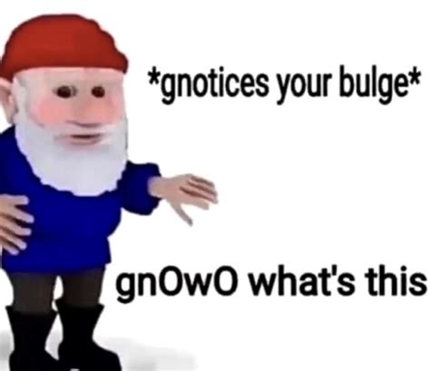 Thanks, I hate Gnomes : r/TIHI