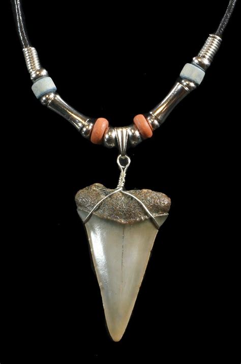 1.7" Fossil Mako Shark Tooth Necklace For Sale (#43058) - FossilEra.com