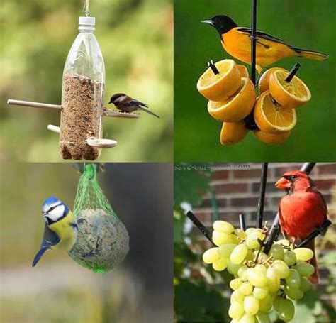 Homemade Bird feeder - Save Our Green