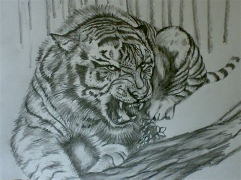 Jungle Pencil Drawing at GetDrawings | Free download