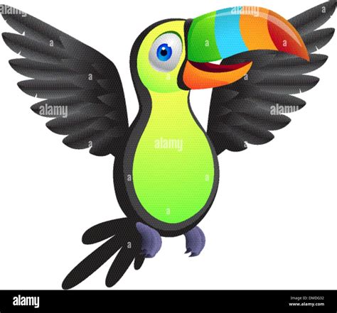 Toucan Cartoon