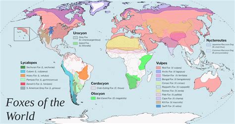 Map of Fox Species Distribution by u/isaacSW - Maps on the Web