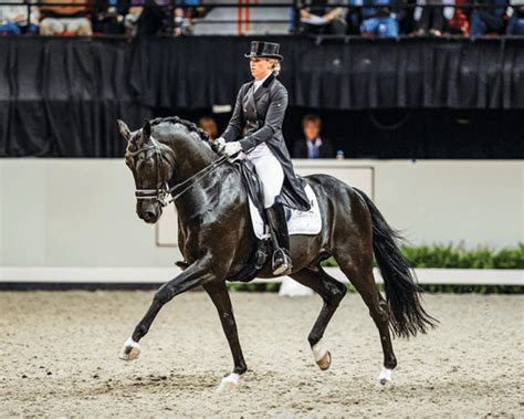 How Can I Ride My Dressage Movements More Accurately? | Dressage ...