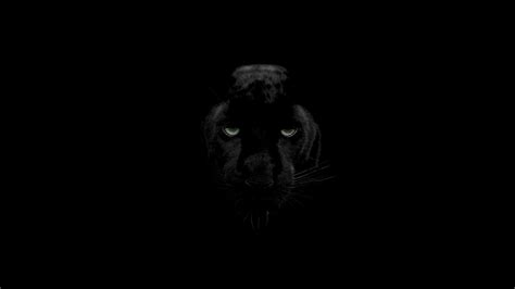 Black Panther 4K Wallpapers | HD Wallpapers