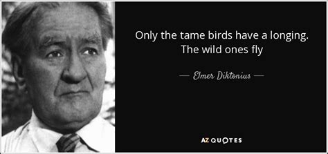 Elmer Diktonius quote: Only the tame birds have a longing. The wild ones...