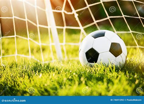 Soccer ball in goal stock photo. Image of soccer, field - 74691392