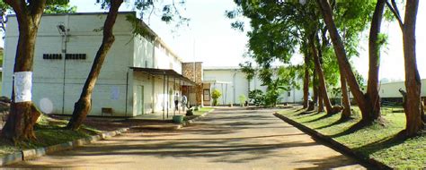 Uganda National Museum creates NFTs with IT firm-Murcom - TechStory