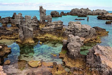 Coral Reef Outcrops In Bermuda Photograph by Charline Xia