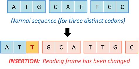 Types of Mutations