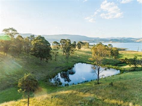 Image of Small farm dam in paddock beside Lake St Clair water supply dam - Austockphoto