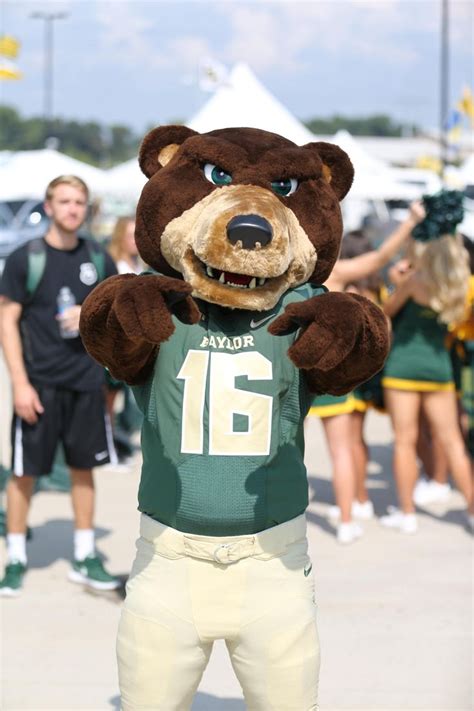 Baylor's beloved mascot: Bruiser!! | Baylor, Baylor university, Baylor bear