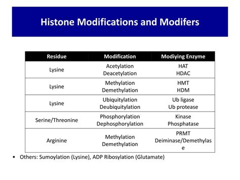 PPT - Histone Modifications PowerPoint Presentation, free download - ID:4751847