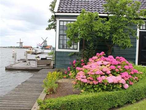 25x Hotel bij de Zaanse Schans en Zaandam: Foto's, prijzen & info