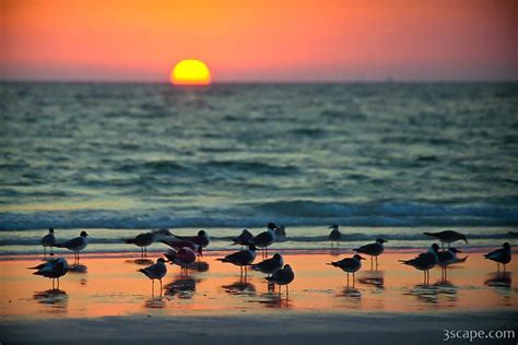 Sunset at Siesta Key Photograph - Fine Art Prints by Adam Romanowicz ...