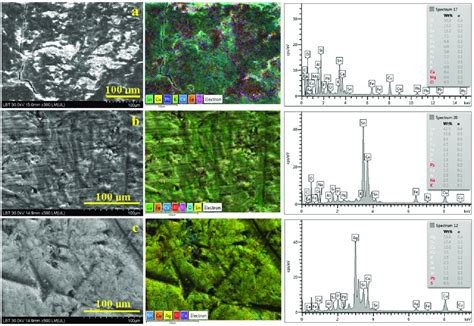 SEM investigation of the patina surface of the Dacian artifacts (SEM ...