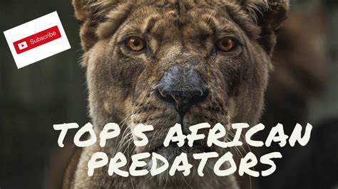 Top 5 African predators - YouTube