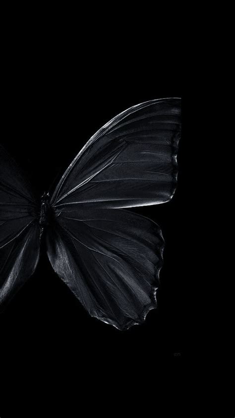 94 Wallpaper Black Butterfly Images - MyWeb