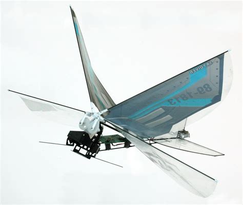 http://robotics.eecs.berkeley.edu/~ronf/Ornithopter/Figures/BoltFlying-big.JPG | Learn robotics ...