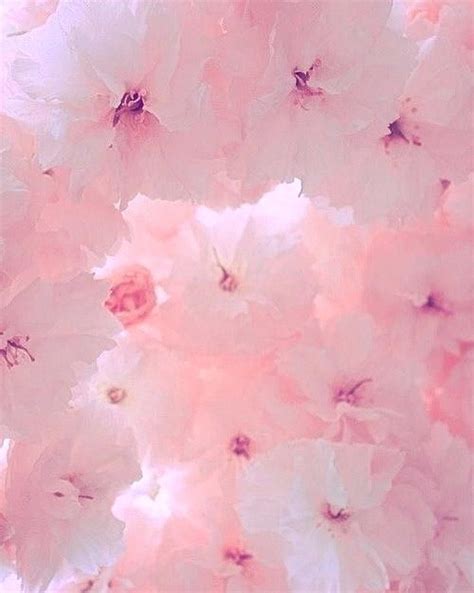 Soft Grunge Pink Aesthetic Wallpaper - Goimages Quack